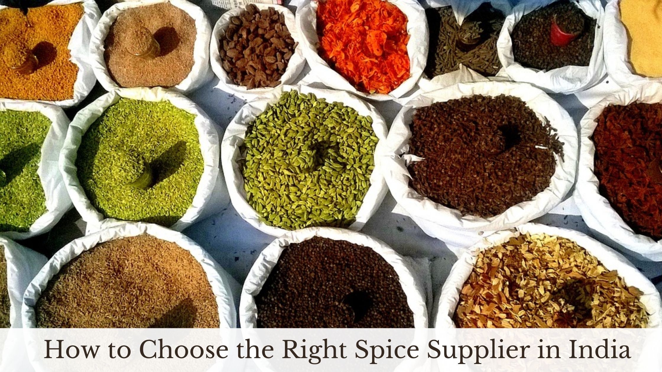 How to Choose the Right Spice Supplier in India Posting Point