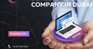 website Design company in Dubai