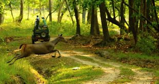 wildlife sanctuaries of India