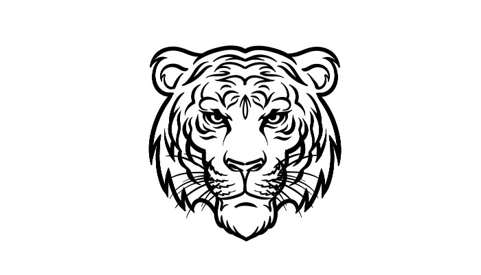 How to draw a tiger face